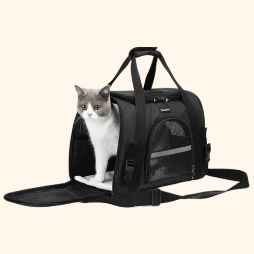 Foldable Portable Soft Pet Carrier for Cats and Dogs