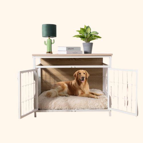 Furniture & Dogs
