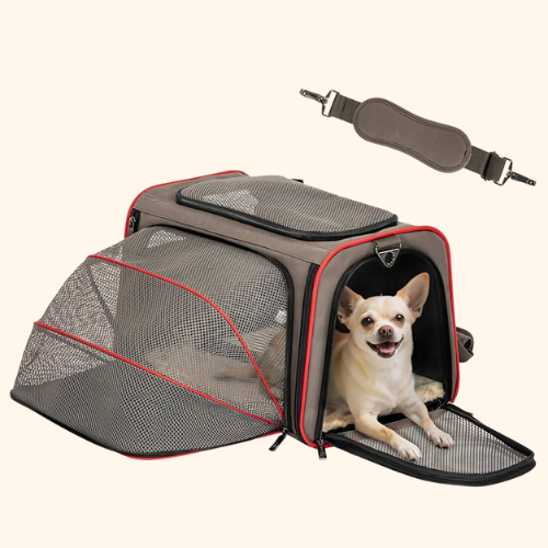 Bag & Dogs