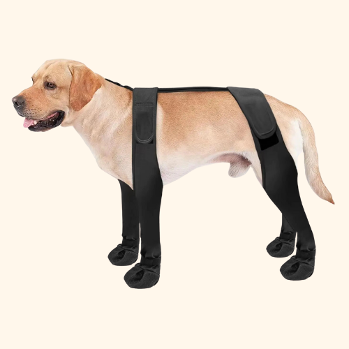 Anti-Dirty Dog Shoes for Pet Supplies